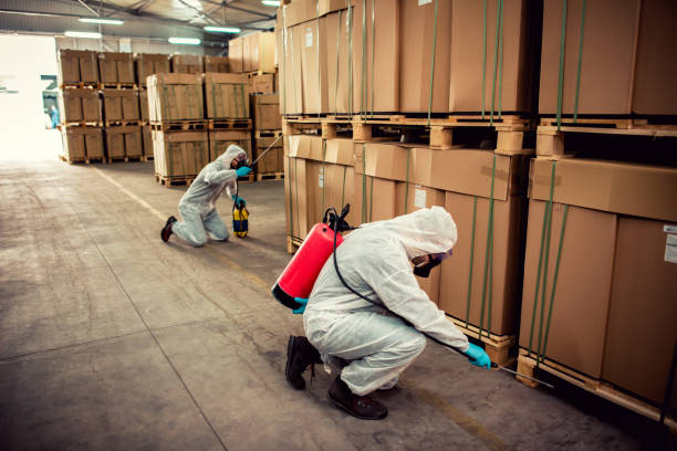 Best Insect Control  in Elizabeth Lake, CA