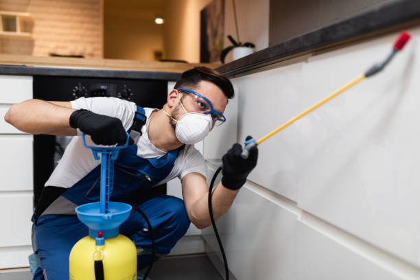 Best Affordable Pest Control Services  in Elizabeth Lake, CA